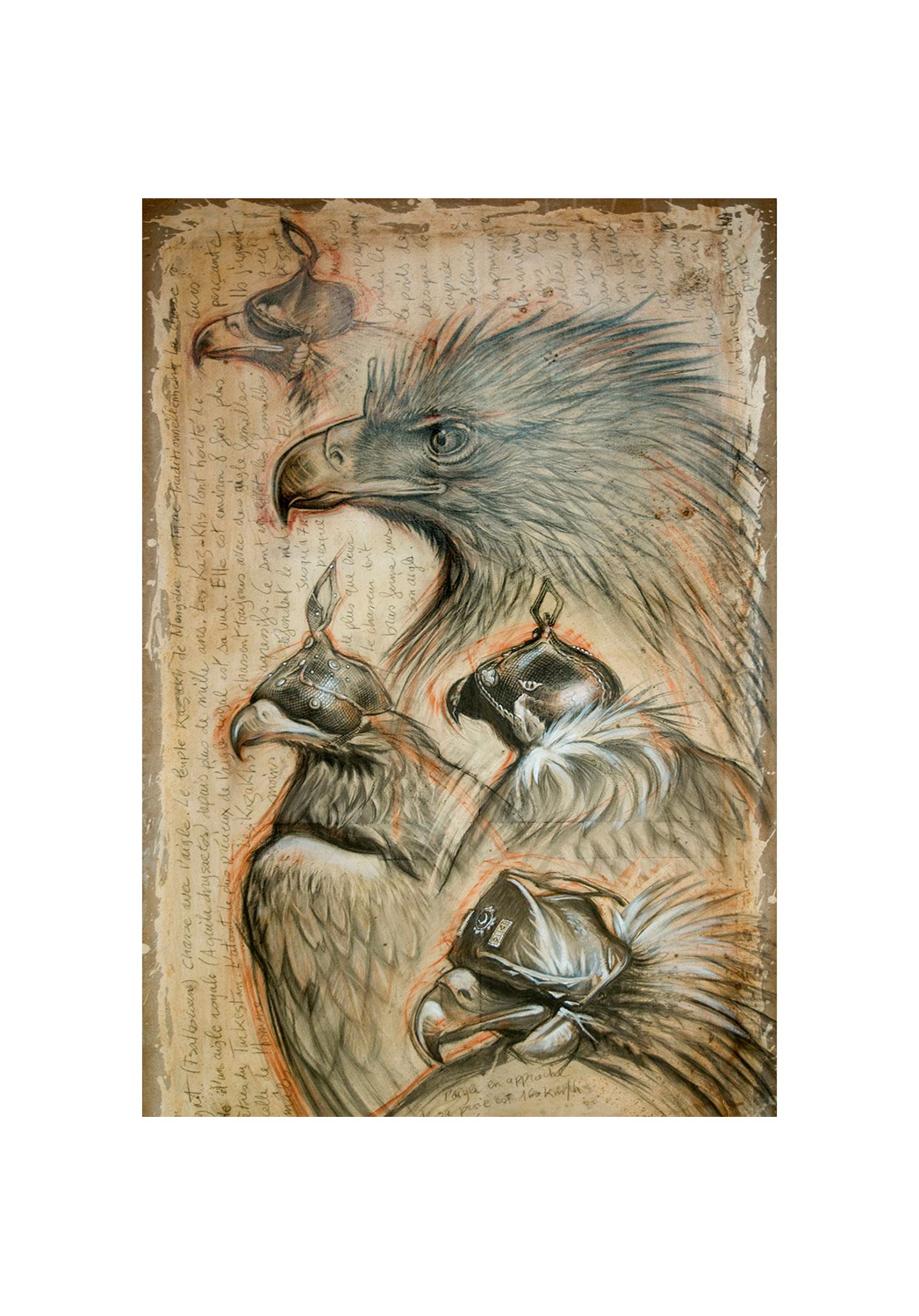 Marcello-art: Wish Card 105 - Sayat, eagle hunting