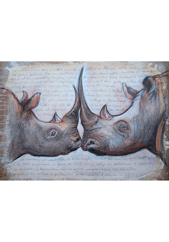 Marcello-art: Wish Card 106 - Rhino kiss