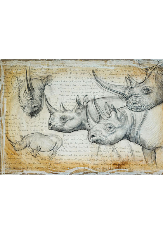 Marcello-art: Wish Card 176 - Rhino 03