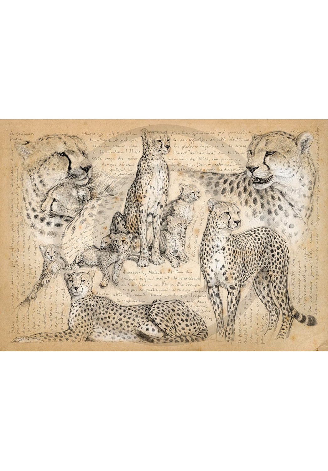 Marcello-art: Wish Card 338 - Malaïka, Masai Mara