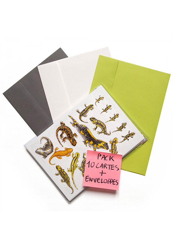 Marcello-art: Wish Card 10 cards + envelopes