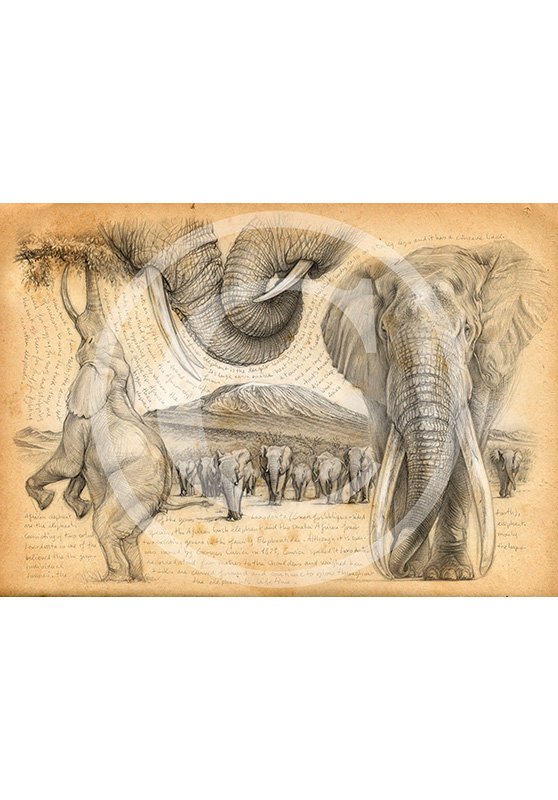 Marcello-art : Commandes exclusives 196 - H&H Big Five Éléphant