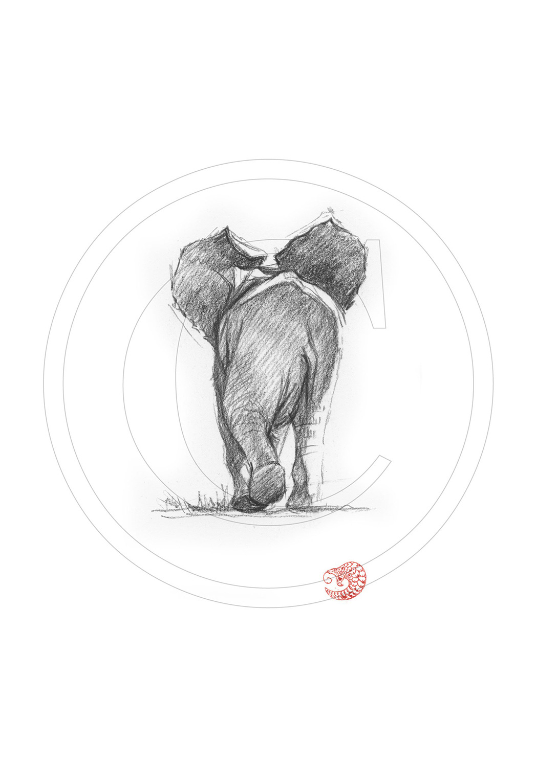 Marcello-art: Ballpoint pen drawing 289 - Baby elephant back