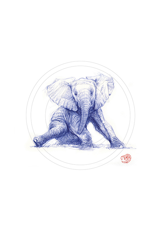 Marcello-art : Dessins au Bic 292 - Éléphanteau assis